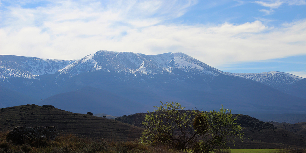 naturaleza-moncayo