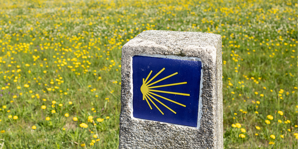 rutas-camino-santiago