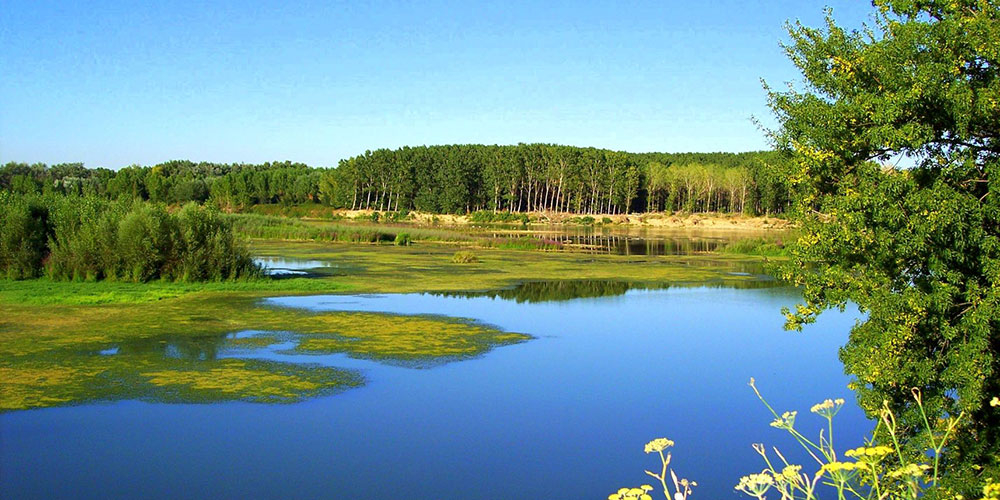 sotos-ebro-alfaro